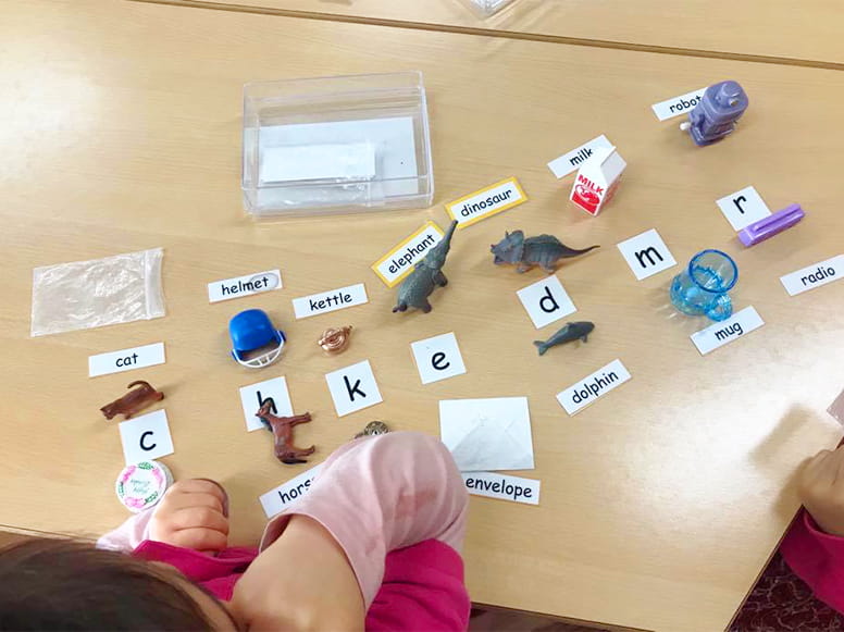 動物の模型を見ながらその動物の英語が書かれたカードを合わせていく生徒たち